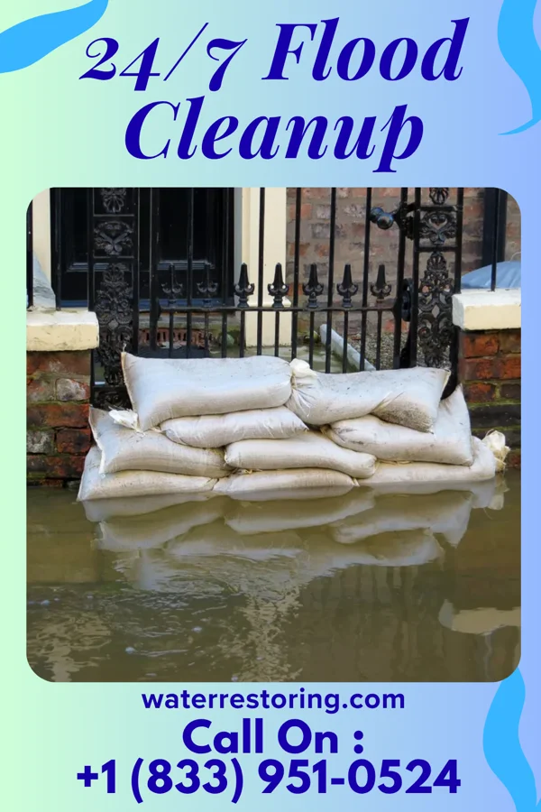 24/7 Flood Cleanup in Knobel, AR
