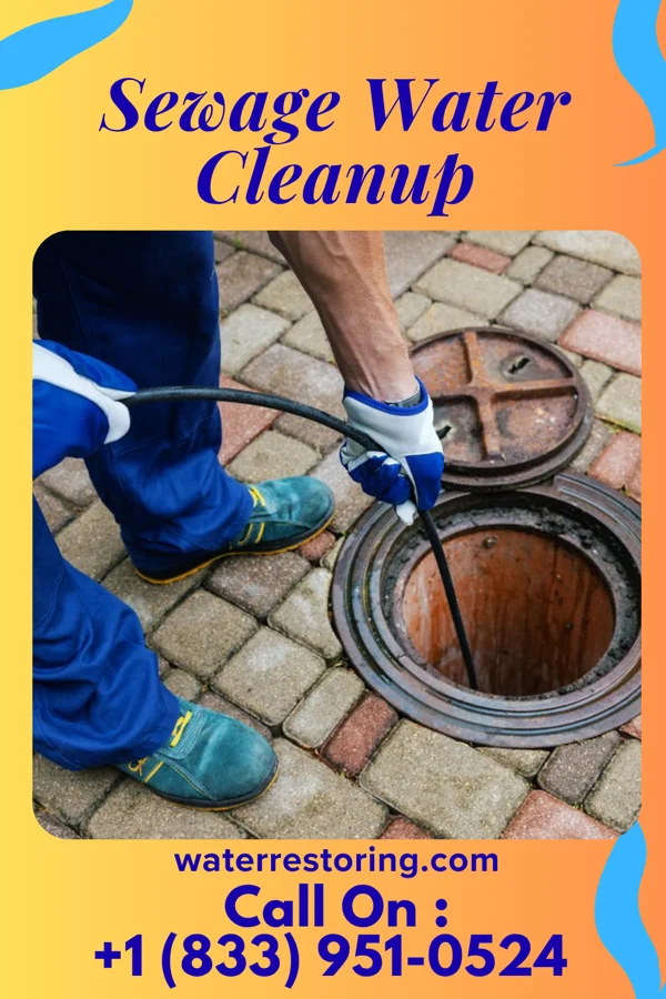 Sewage Water Cleanup in Knobel, AR